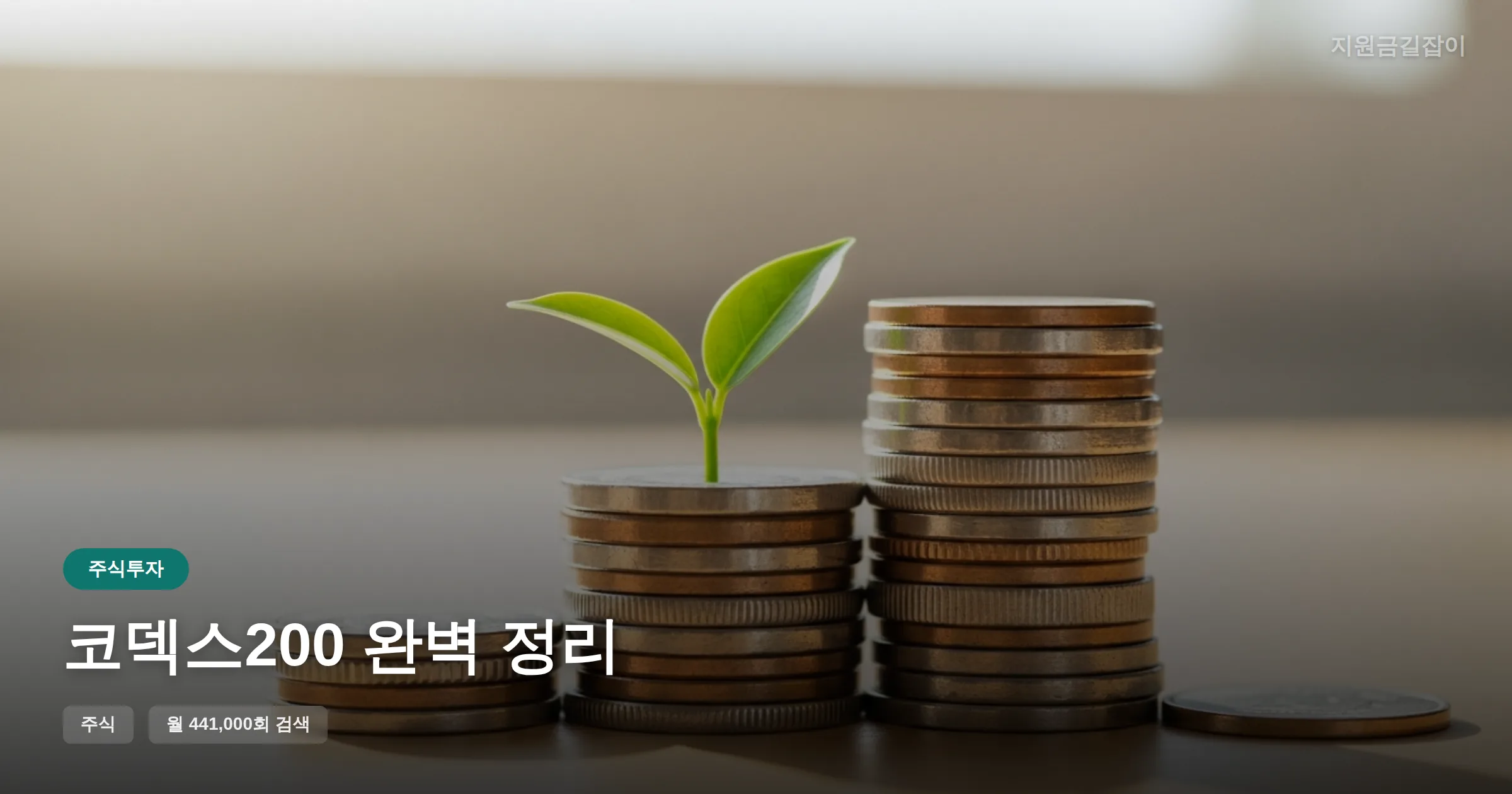 코덱스200 완벽 정리